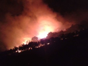 incendio roviano