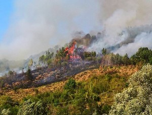 incendio tagliacozzo 2