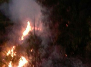 21325575_10209843543220453_1757939026_n