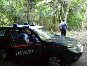 carabinieri bosco