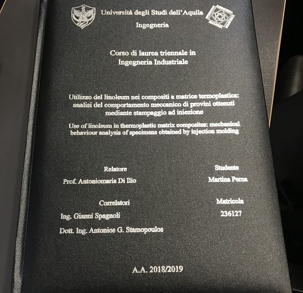 tesi martina perna