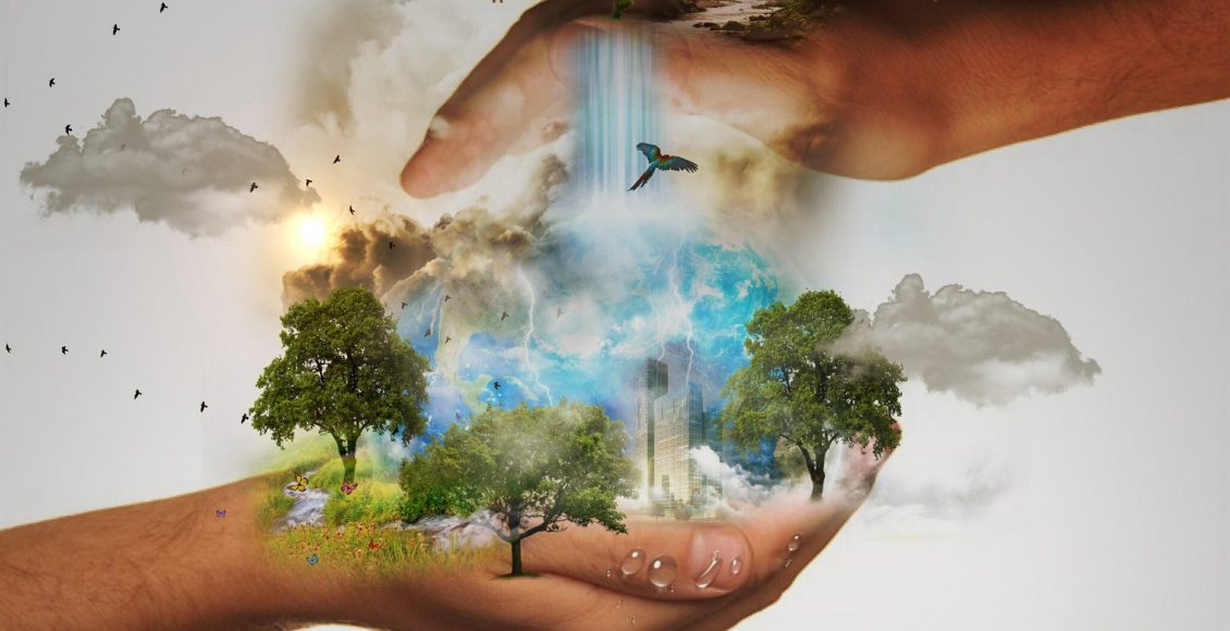 nature-conservation