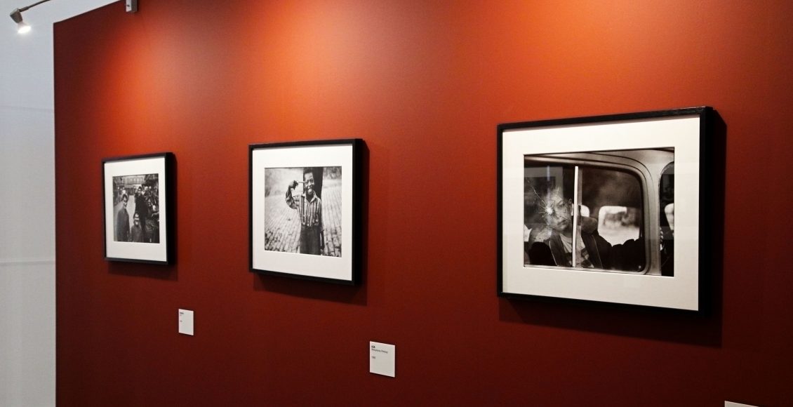 mostra volti