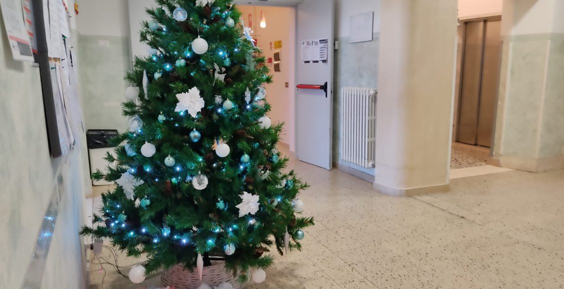 albero di natale alcim contigliano