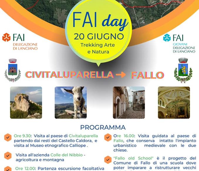 Locandina FAI