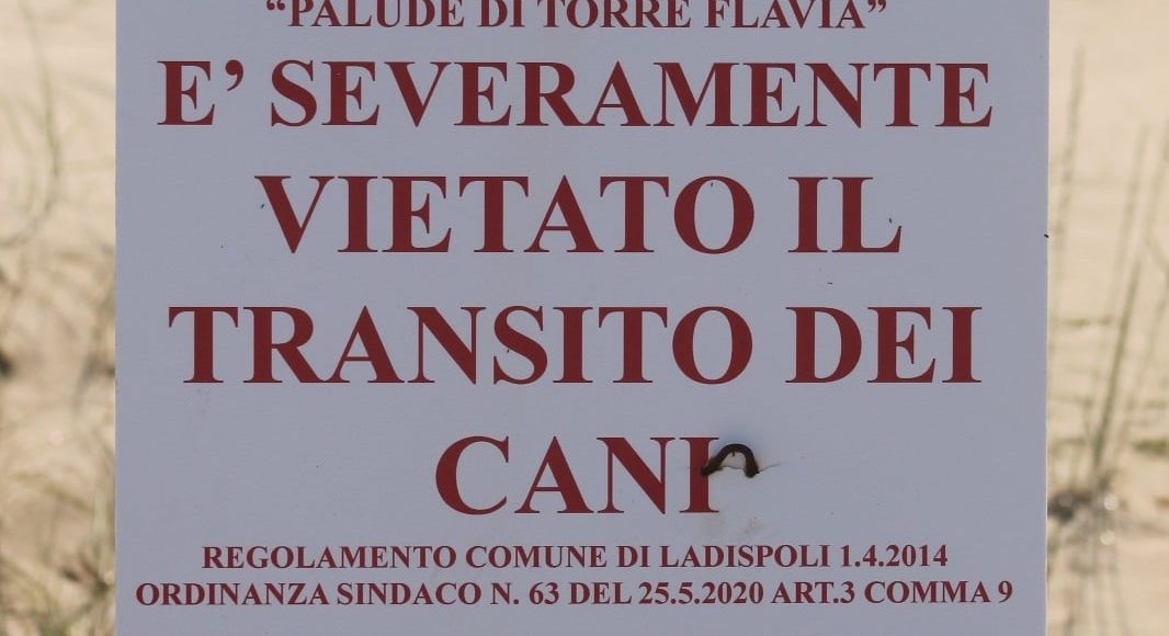 cartello vietato cani spiaggia ladispoli