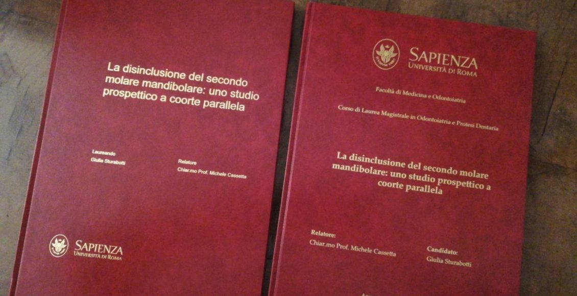 testo tesi laurea giulia sturabotti